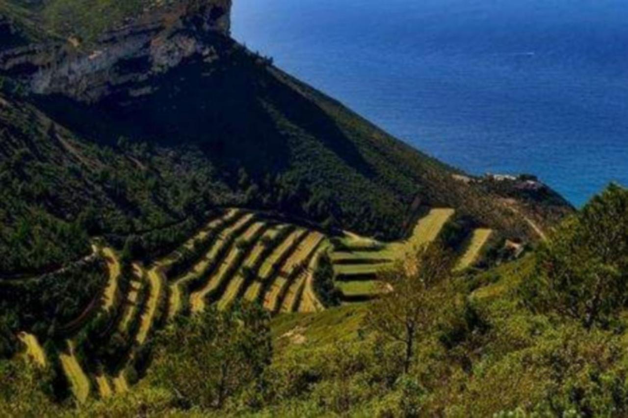 La Falaise Paradis Vue 180° * Cassis